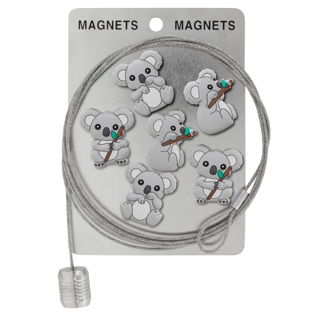Câble porte photos et magnets - Magnetic Cable
