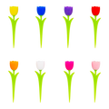 Set de 8 pics apéritif - Tulipics