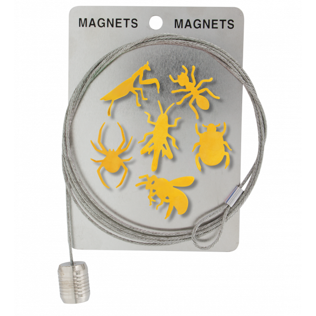 Câble porte photos et magnets - Magnetic Cable