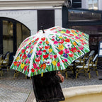 Parapluie - Rainbeau