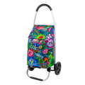 Chariot de courses - Trolly