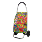 Chariot de courses - Trolly