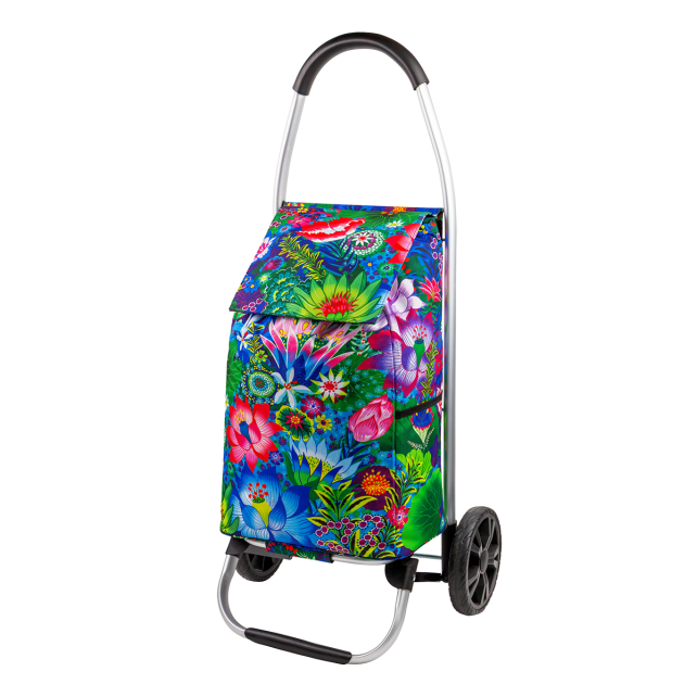 Chariot de courses - Trolly