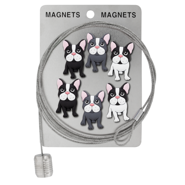 Câble porte photos et magnets - Magnetic Cable