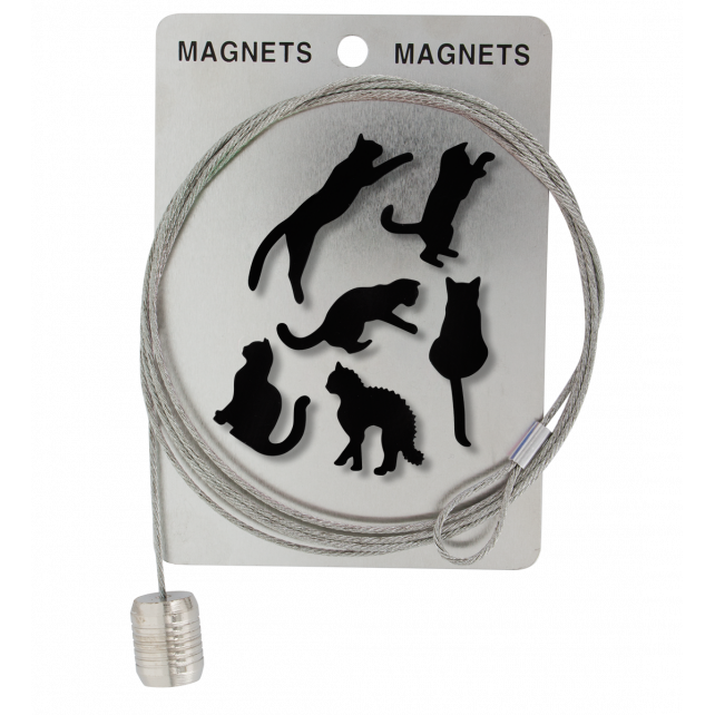 Câble porte photos et magnets - Magnetic Cable