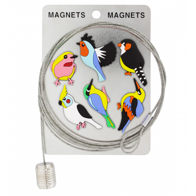 Câble porte photos et magnets - Magnetic Cable