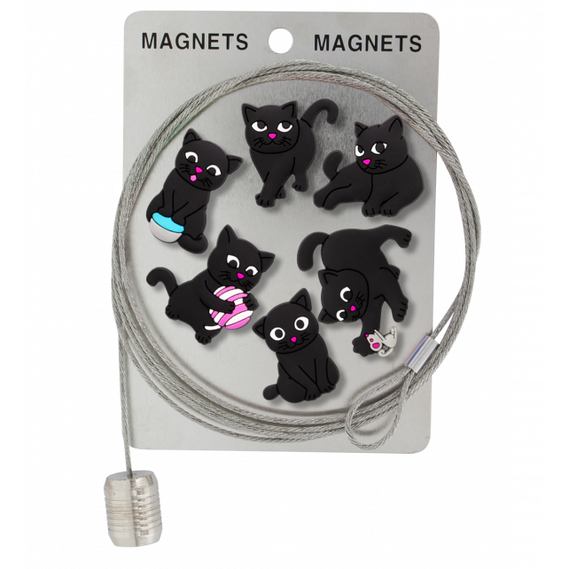 Câble porte photos et magnets - Magnetic Cable