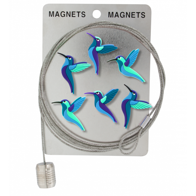 Câble porte photos et magnets - Magnetic Cable