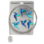 Câble porte photos et magnets - Magnetic Cable