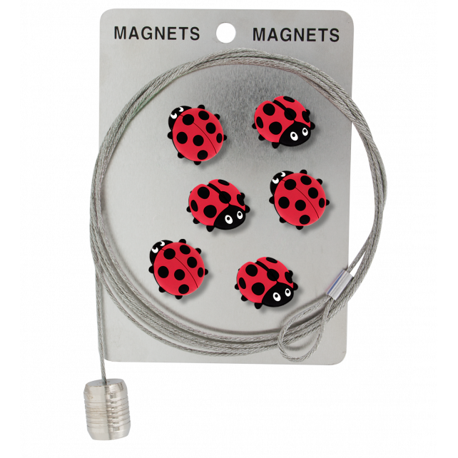 Câble porte photos et magnets - Magnetic Cable