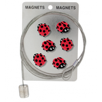 Câble porte photos et magnets - Magnetic Cable