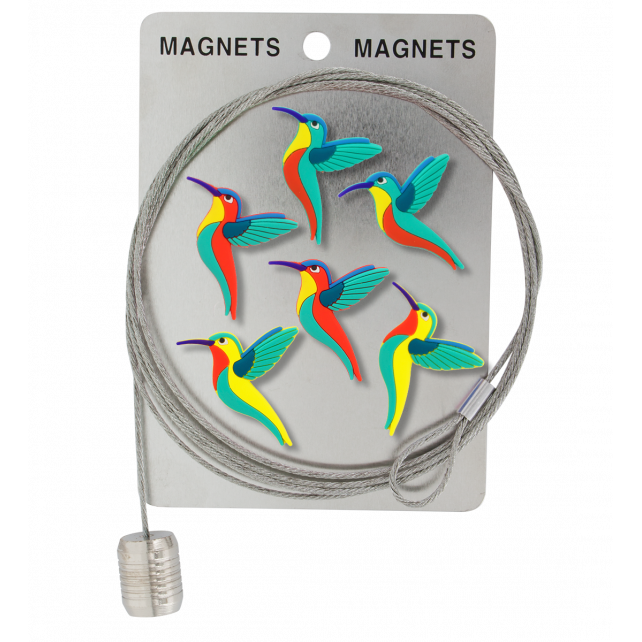 Câble porte photos et magnets - Magnetic Cable