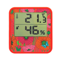 Thermomètre Digital - Cosy