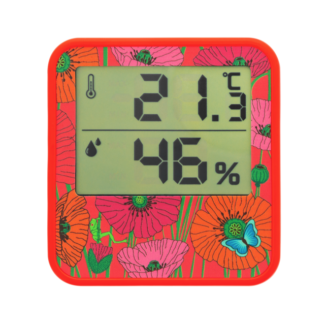 Thermomètre Digital - Cosy