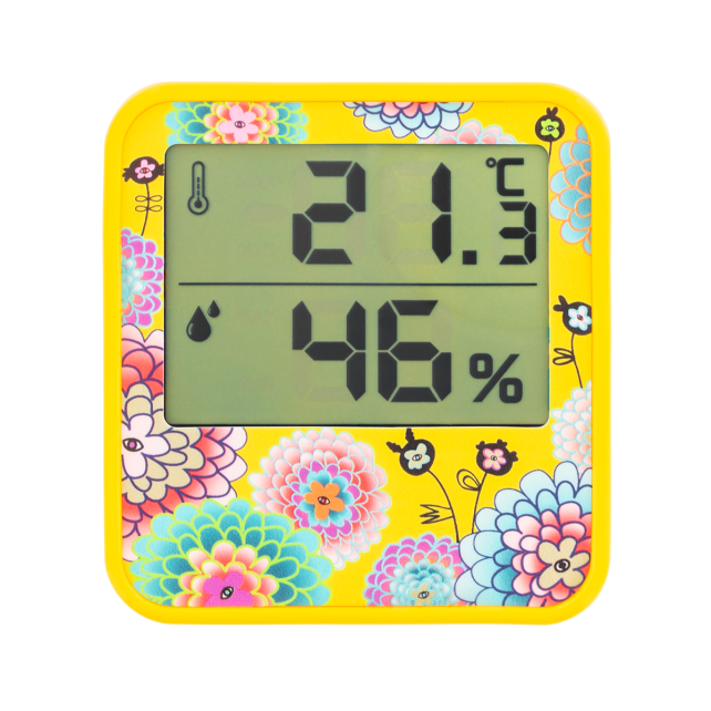 Thermomètre Digital - Cosy