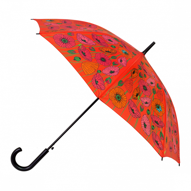 Parapluie - Rainbeau