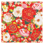 Tissu microfibre pour lunettes - Belle Vue