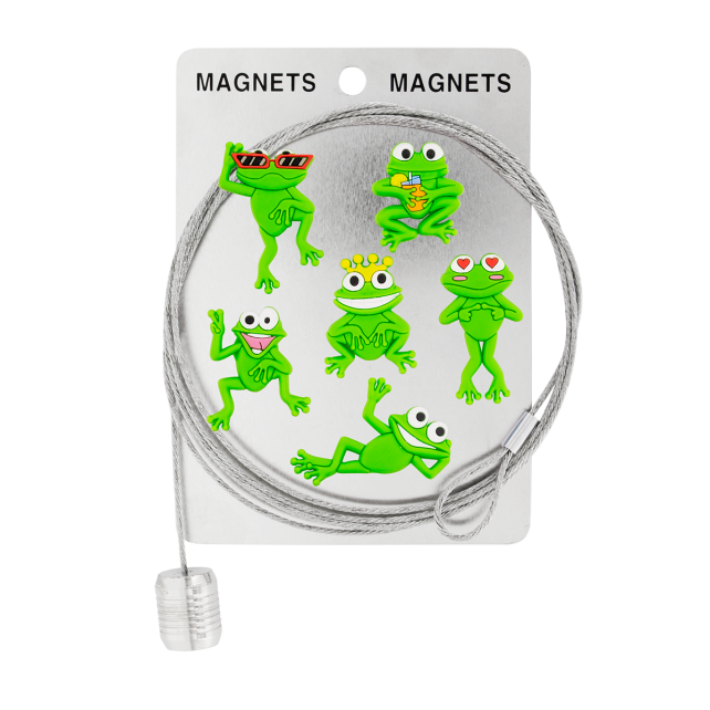 Câble porte photos et magnets - Magnetic Cable