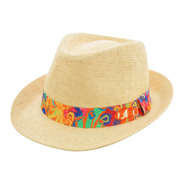 Chapeau T56 - Protect