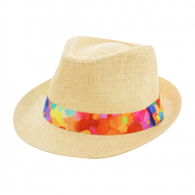 Chapeau T56 - Protect