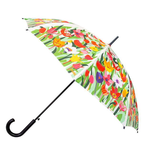 Parapluie - Rainbeau