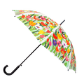 Parapluie - Rainbeau