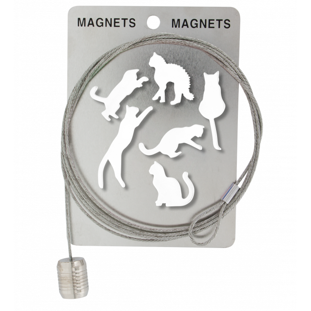 Câble porte photos et magnets - Magnetic Cable