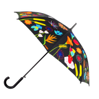 Parapluie - Rainbeau