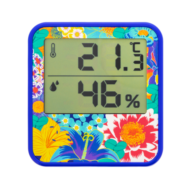 Thermomètre Digital - Cosy