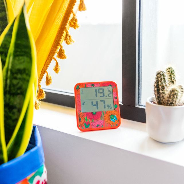 Thermomètre Digital - Cosy