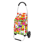 Chariot de courses - Trolly